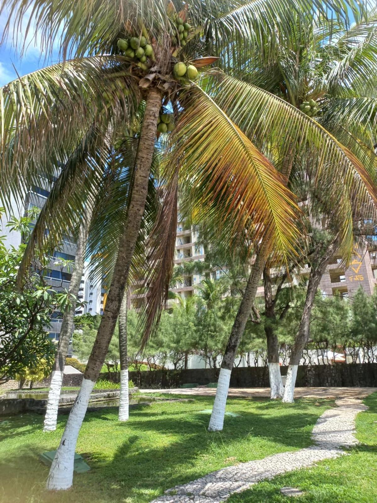 Golden Beach Flat Na Praia Piedade Jaboatao dos Guararapes Zewnętrze zdjęcie